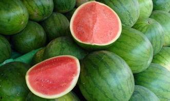 热门大瓜每日必吃大瓜合集,揭秘娱乐圈最新动态，一网打尽娱乐圈风云